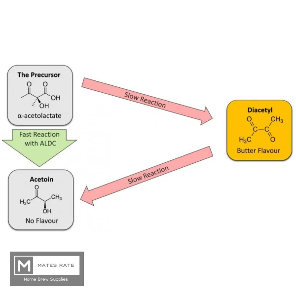 D-Stop (ALDC - ALPHA ACETOLACTATE DECARBOXYLASE)